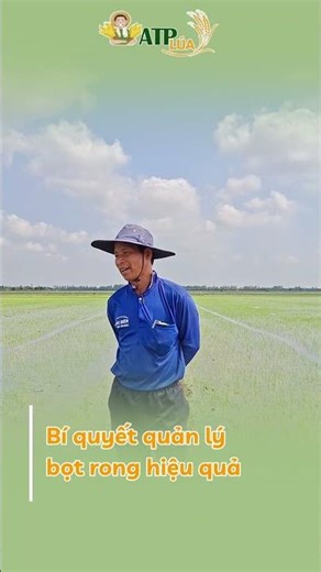Effective Methods for Managing Algae Foam | An Thinh Phat