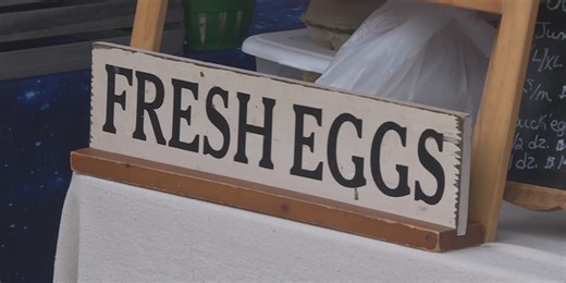 ‘We’re able to provide a local product’ | Market Square Winter Farmers Market helping shoppers find produce