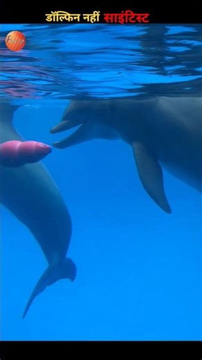 How are dolphins so intelligent? You will be surprised to know! 😱 #shorts