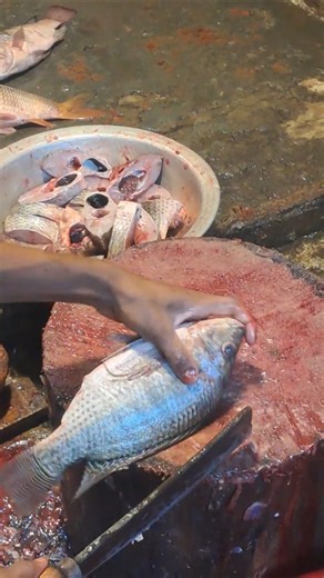 😱 Perfect Tilapia Fish Cutting Technique | Sharp Knife Skills #Shorts
