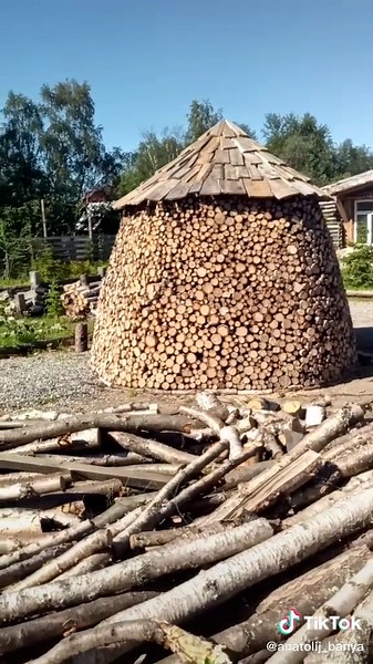 Exploring Birch Logs for Outdoor Projects