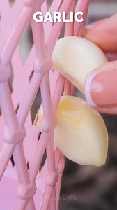 Summer Garden Magic: Simple Tricks for Lushness and Radiance 🌞🌻 | 5-Minute Crafts Green