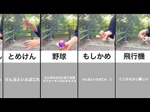【初心者必見】初めてけん玉を触る人におすすめの技8選