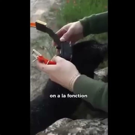 The Future of Hunting Dog Tracking: Smart, Accurate, Reliable