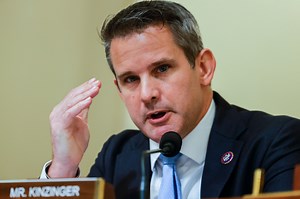 How screwed is Adam Kinzinger?