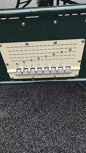 Exploring the Green Metal Switch Structure