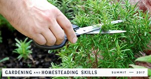 186K views · 499 reactions | Contemplating your next step in expanding your family garden? Adding chickens or beekeeping to the mix? Attend The Free Online Gardening & Homesteading Skills Summit, Oct. 17-19th and hear from an incredible lineup of today’s most innovative farmers, master gardeners and homesteaders who’ll redefine backyard farming and share the exact skills you need to live in more sustainable ways, and with greater self-reliance. | The Shift Network | Facebook