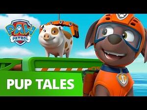 PAW Patrol - Pups Save a Windsurfing Pig - Rescue Episode - PAW Patrol Official & Friends!