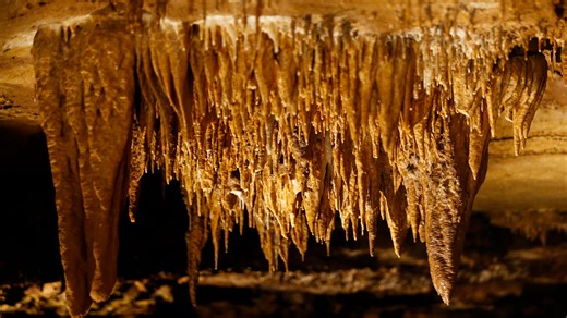 After 10 years, Crystal Cave reopens with spelunking tours, fossil digging and train rides