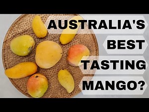 What is Australia's BEST tasting Mango? 5 Variety Comparison Review