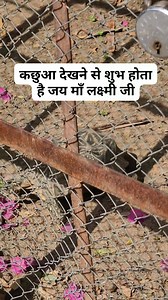 401K views · 10K reactions | Support Creator fans on Reels | Facebook