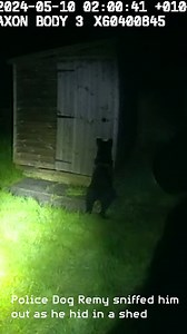 Police dog hunts down prolific burglar hiding in a garden shed. Officers were called shortly after 2am on Friday 10th May to reports of a man acting suspiciously, trying car door handles and moving in and out of different properties. Police dog Remy and his handler arrived with colleagues within minutes and armed with information provided by a member of the public, Remy sniffed out the man who was cowering in a garden shed with a stolen racing bike and a bottle of whiskey. After his arrest offic