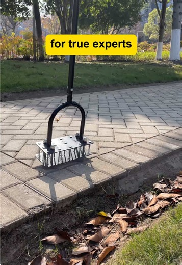 How to Aerate Your Lawn in Early Spring