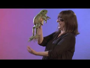 Folkmanis® Jumping Frog Puppet Demo - Retired