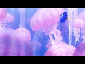 Finding Nemo - Jellyfish Scene