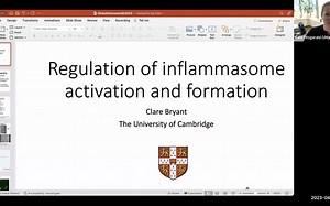Regulation of inflammasome activation and formation by Dr. Clare Bryant