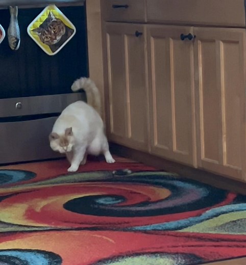 I think this might be my favorite new toy! | Otis the Alien