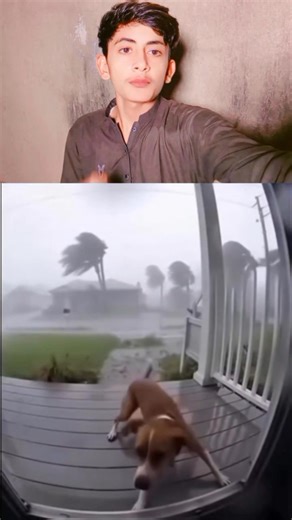 تاریخ گواہ ہے کہ میں نے آج تک کسی کی مدد نہیں کی۔ | Datal Official