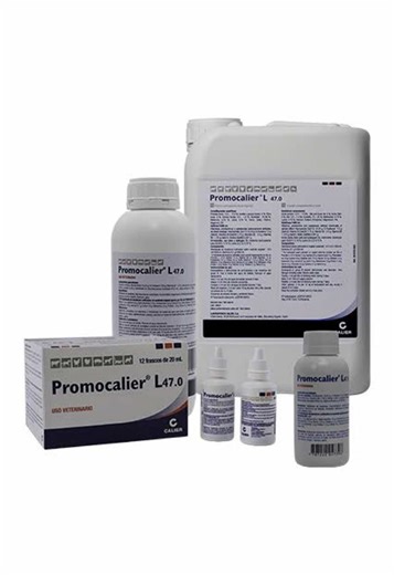 PROMOCALIER L 47 ✨🐄🐓🐕 🔬 Con vitaminas y aminoácidos esenciales, PROMOTOR L 47 garantiza una rápida absorción y máxima biodisponibilidad para el óptimo funcionamiento del organismo. 💪🔥 ✅ Fácil asimilación y efecto inmediato ✅ Apto para bovinos, equinos, ovinos, caprinos, porcinos, aves, cuyes, abejas y más 🐮🐴🐑🐔🐝 📢 ¡Dale a tus animales el impulso que necesitan con PROMOTOR L 47! 🚀🐾 #promocalier #NutriciónAnimal #SaludYBienestar #ProducciónEficiente #rendimientoóptimo