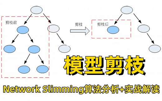 通俗易懂！计算机博士1小时带你透彻理解神经网络的剪枝算法模型剪枝-Network Slimming算法！算法分析 实战解读