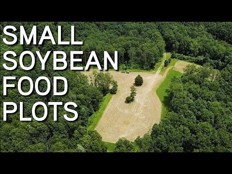 SOYBEAN FOOD PLOTS | How To Plant | Broadcast or Drill