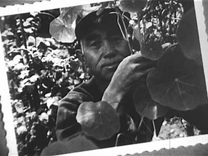 Ansel Adams Photographer Pt2