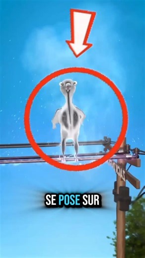 Ce qui se passe VRAIMENT quand un oiseau touche un fil 😳
