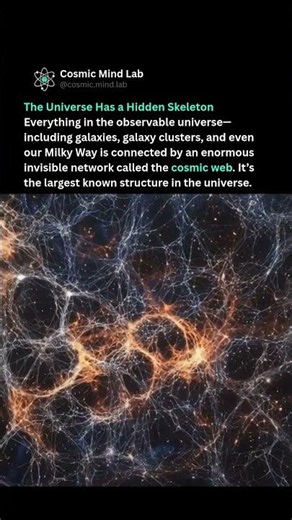 What is Cosmic Web?