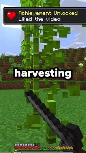 What do on the sharksmp ( my mc server ) after joining #minecraft #shorts