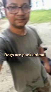 Join my PACK (2 Days Online 3 Days Offline Handholding Program ) Whatsaap with program Code : “PACK“ to 6289097807 | Pawsome Life