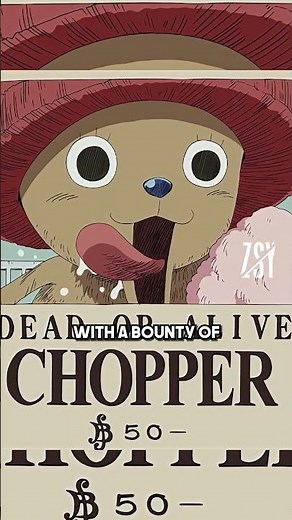 Is This The Smallest Bounty In One Piece? 🤔