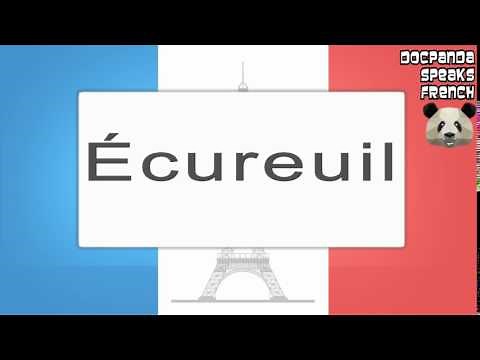 Écureuil - How To Pronounce - French Native Speaker