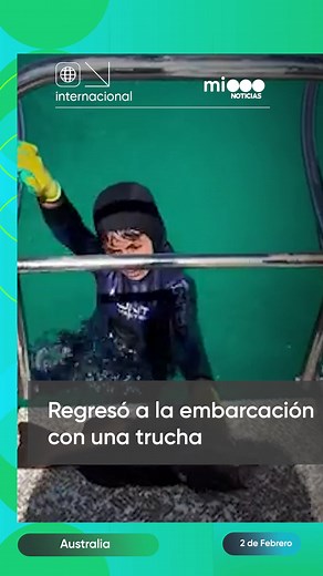 Ataque de tiburón a niño en la Gran Barrera de Coral