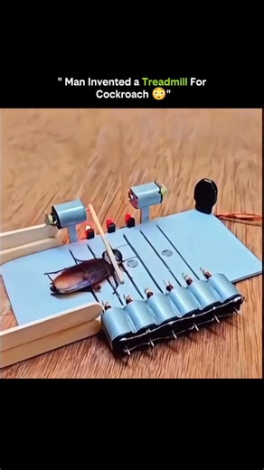 SCIENCE IN INFINITY WAY on Instagram: "Man invented a treadmill for cockroaches 🪳⚙️ 1️⃣ Tiny treadmill, big science This miniature treadmill lets researchers study cockroach movement, speed, and endurance under controlled conditions. 2️⃣ Understanding insect locomotion By watching how cockroaches run, scientists learn about gait patterns, leg coordination, and energy efficiency — knowledge that can inspire robotics. 3️⃣ Controlled environment matters On a treadmill, variables like speed, inclin