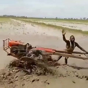 Wenye mahabati na kilimo tujuane. : Sema dogo kazidisha mbwembe hadi anahatrisha usalama😂😂. : Wanaojua kilimo cha mpunga hatua hii inaitwaje? #KilimoUtiwaMgongo | Gerson Msigwa