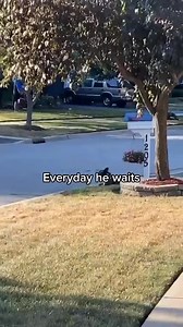 66K views · 1.7K reactions | Rumble on Reels | Facebook