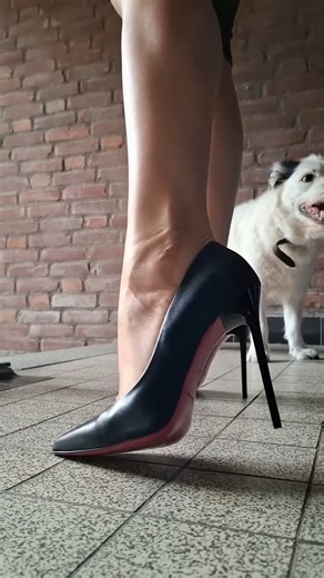 81K views · 1.6K reactions | SHOP - Link:...