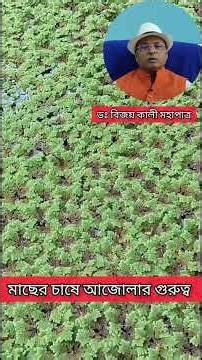 Importance of Azolla in Fish Culture #aquaculture #agriculture #science