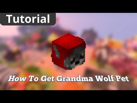 How To Get GRANDMA WOLF Pet In Hypixel Skyblock