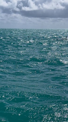 954K views · 10K reactions | Que peligro ⛔️ #boat #fishon | Pesca En Los Cayos | Facebook