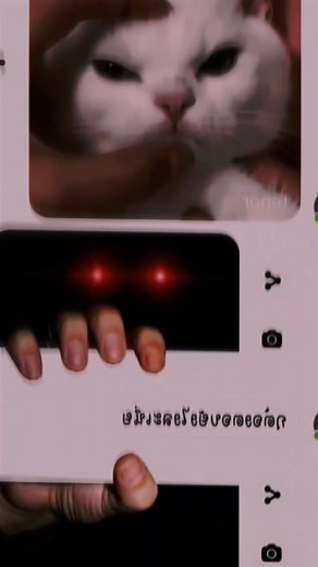 Discord Hand Grab Meme - Funny Memes Compilation