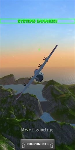charki dadri mid air collision 💥 retold in TFS #charkidadri #planes
