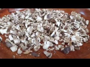 how to peel moringa seed with your tools in the house? #naturalskincare #moringaseed