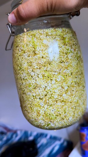 596K views · 36K reactions | it’s elderflower time! ✨ Sambucus nigra is a shrub that keeps on giving, from flowers in late spring to berries in late summer! This liqueur recipe will save you at least a few bucks on fancy cocktail inclusions, plus you’ll have the satisfaction of having made it yourself!壟 #sambucus #mushroomauntie #elderflowerliqueur#stgermain #foragedfood | chaoticforager | Facebook