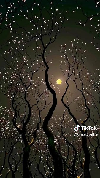 Knockin' On Heaven's Door Lyrics and Meaning