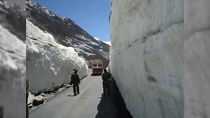 43K views · 227 reactions | High-tech barriers set to curb visitors...