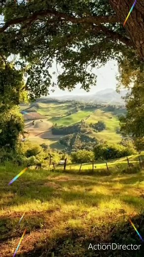 user03618416339 on TikTok