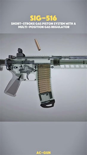 The Most Underrated Rifle: SIG 516 (3D)
