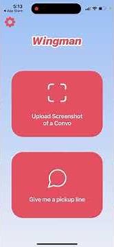 Wingman (RIZZGPT) app - how to use