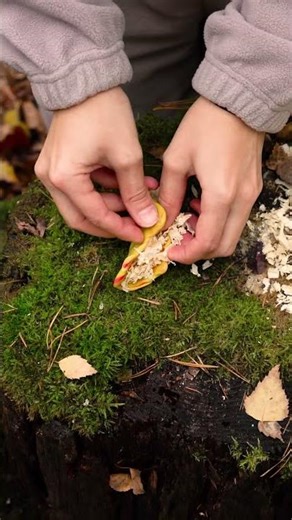 Unleash Your Inner Survivor: Wacky Hacks with Everyday Items!